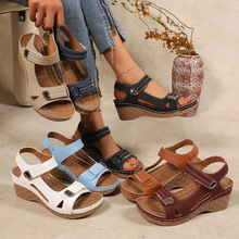 2025¿ļQŮЬ羳aeЬһ֎ħgNЬŮЬ