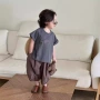 设计师男童新款宝宝套装