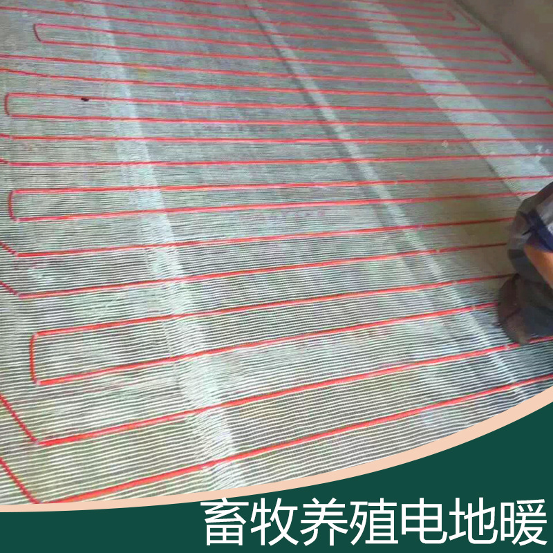 暖烨 家用养殖场远红外石墨烯电地暖 快速升温 坡道融雪可用