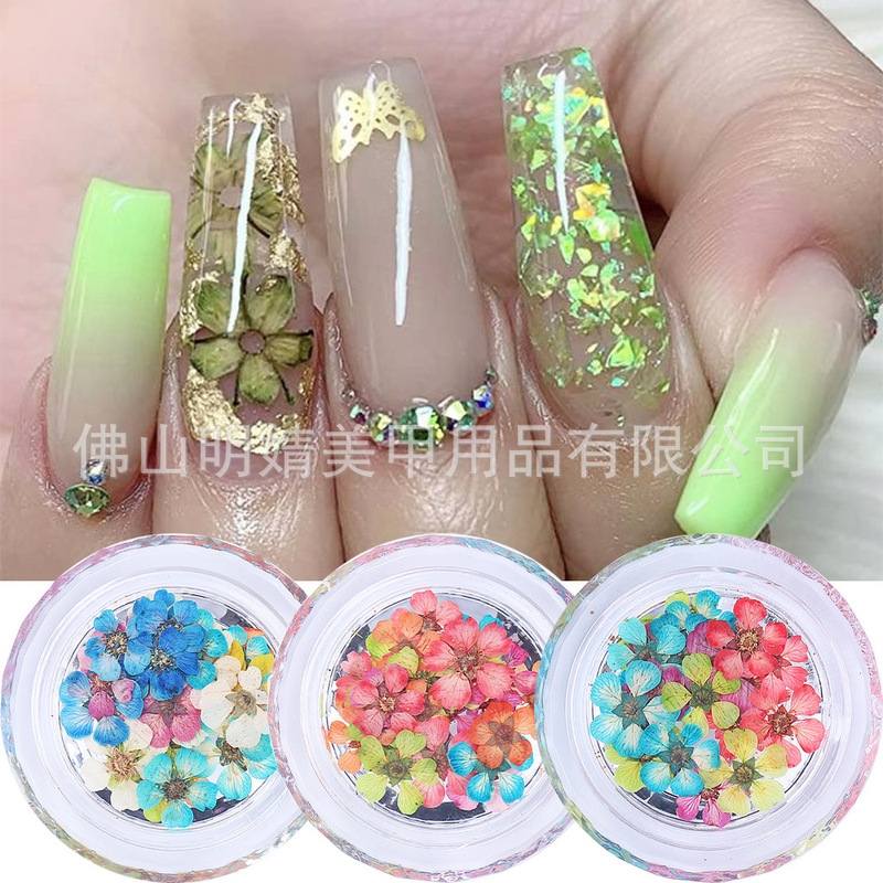 Cross-Border New Nail Art Dried Flowers Japanese Style Ins Mixed Color Pearl Plum Ultra-Thin Real Flower Dried Flower Embossed Nail Decorations