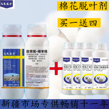 ���� �޻�Ó�~�� �籽¡����¡ ������ ���аl؛ �m���w�� �͜�