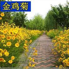 ջNӽuշNӶ޸羰^G̻N