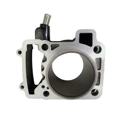 Cylinder and parts suitable for Bajaj Pulsar