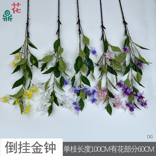 ������R ��ȸ�m �҃ȼҾӔ[���廨���滨 ����d�����������ٻ�