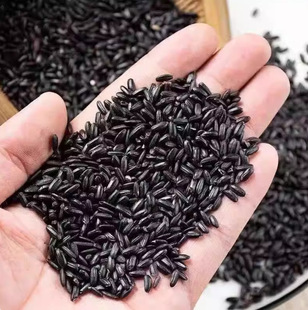 2024��ĥ����������������峣���ז|����Ⱦɫ�����lһ�����l���]