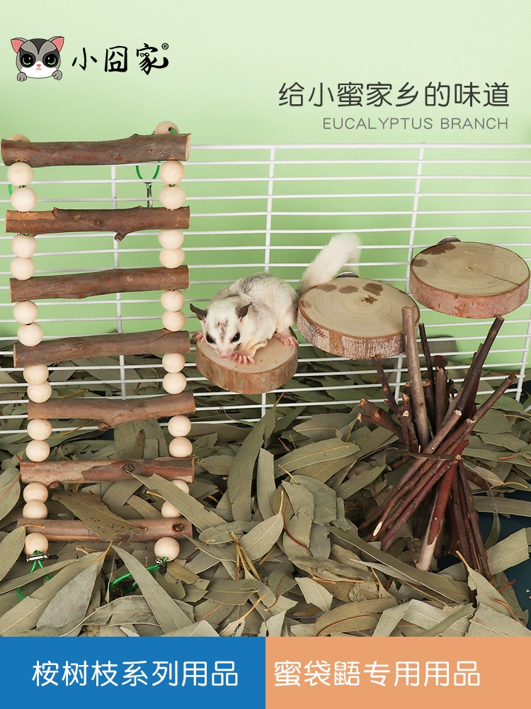 Листья эвкалипта, сахарные птеродактили, сахарные птеродактили, дезинфицирующие подушечки для прорезывания зубов, ветки эвкалипта, маленькие игрушки для украшения интерьера в виде медовой клетки.