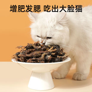 Cat Snacks, Small Quail Freeze-Dried Nutrition, Fattening and Gill Cat Snacks, Hair Beauty, Teeth Grinding, Calcium Supplement, Kitten Snacks, Dried Meat