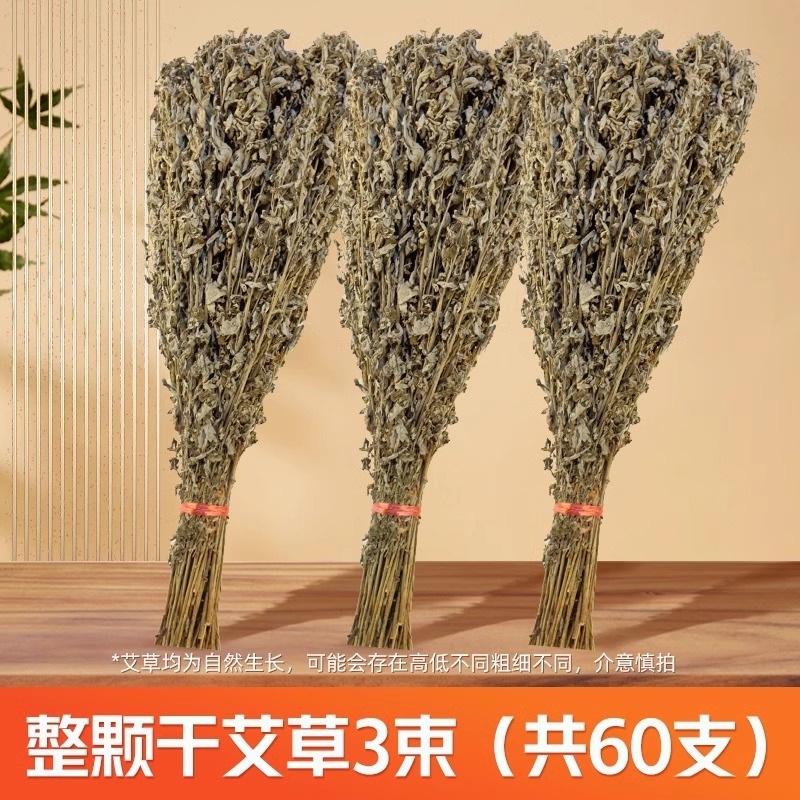 3 bunches of dried mugwort, 60 plants