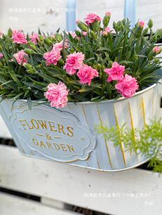 �͹����f���{ɫ�FƤͰ�E�A���h����@�L���û����е׿��̨���@