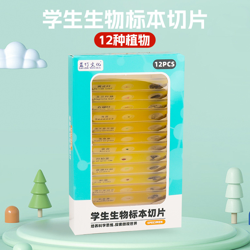 식물 노란색 표본 (중국어)