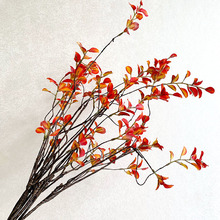 �������~��֦�ٗl�t�~��ٻ��Ӱ巿�OӋ����ܛ�b��c�b�ˇ����