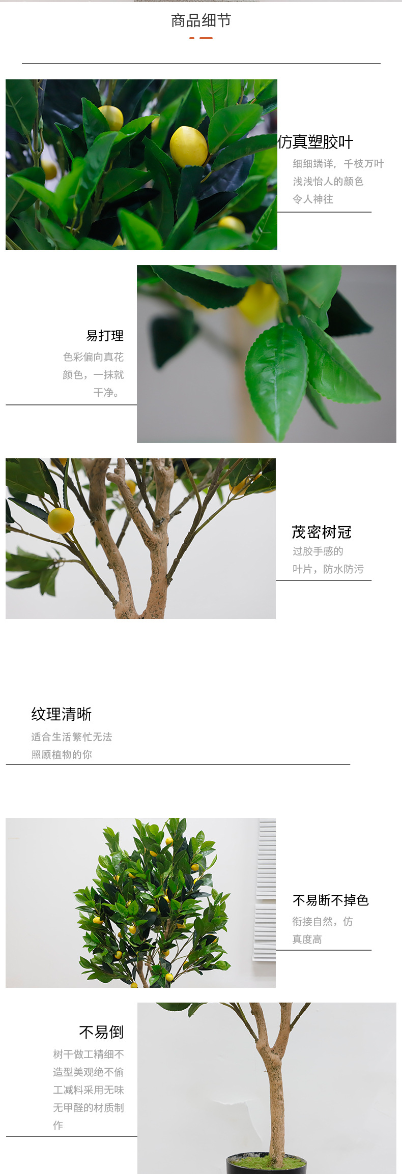 柠檬树详情页2(1)_02.jpg