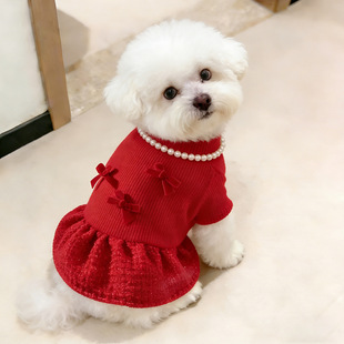 2026�R��ϲ�c���������bС���L��⹷���Ӻ�tɫ�B��ȹ؈������