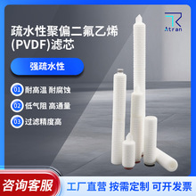 ��ˮ�Ծ�ƫ������ϩPVDF�Vо�͸ߜ��͸��g��ˮ΢�מVĤ�ӹ�����