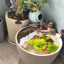 �ش�̖ˮ�׻����֬�Ӻ����Ͽ͏d����̨ͥԺ�B�~�ɻ����؃r��