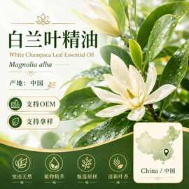 白兰叶精油中国产区精油芳疗护肤美容院单方香薰精油原料批发
