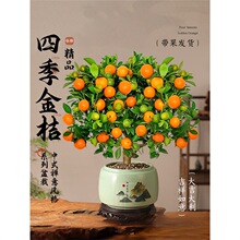 �ļ���Ƥ��ۘ������҃ȿ͏d������ʳ������ʽ�U���辰���ܾGֲ��