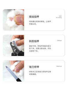 Pet Supplies Dog Finger Clips Teddy Toenail Clips Medium and Large Dog and Cat with File Nail Grinder Nail Scissors