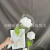 Rose flower white