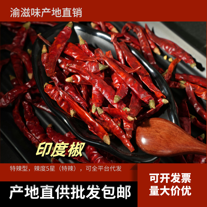 印度椒干辣椒干货海椒可打粉石柱红内黄新一代小椒灯笼椒批发