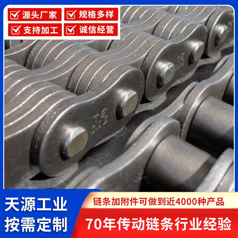 TYC进口板式链条提升机,堆垛机链条ALBLLL系列BL1244 3266