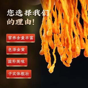 �������¡������x�ݻ��������^���rʳ���x���Ҝ���������