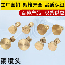 電動噴霧器配件銅噴頭工廠直銷質量保證 農業打葯噴槍加厚打葯機