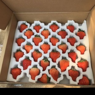 Strawberry Sponge Packaging / Turnover Strawberry Sponge Packaging / Bubble Wrap Strawberry Sponge Packaging / Buffer Strawberry Sponge