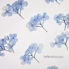 带枝原色绣球干花 手捧花真花押花 火漆印章diy材料滴胶手机壳