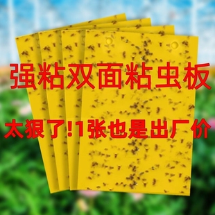 Yellow Sticky Trap for Greenhouses, Double-Sided Small Black Fly and Fruit Fly Trap, Insect Trap Sticker for Agricultural and Home Garden Use