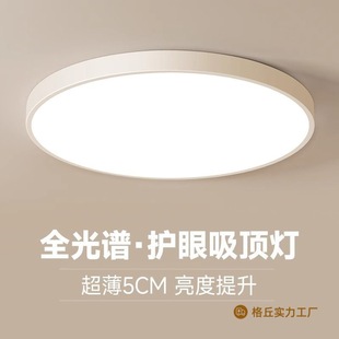 Simple New Year's New Full Spectrum Ceiling Lamp High Brightness Eye Protection Living Room Lamp Modern Simple Bedroom Lamp Indoor Lamp