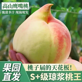 速冻中式面点;传统糕点;月饼