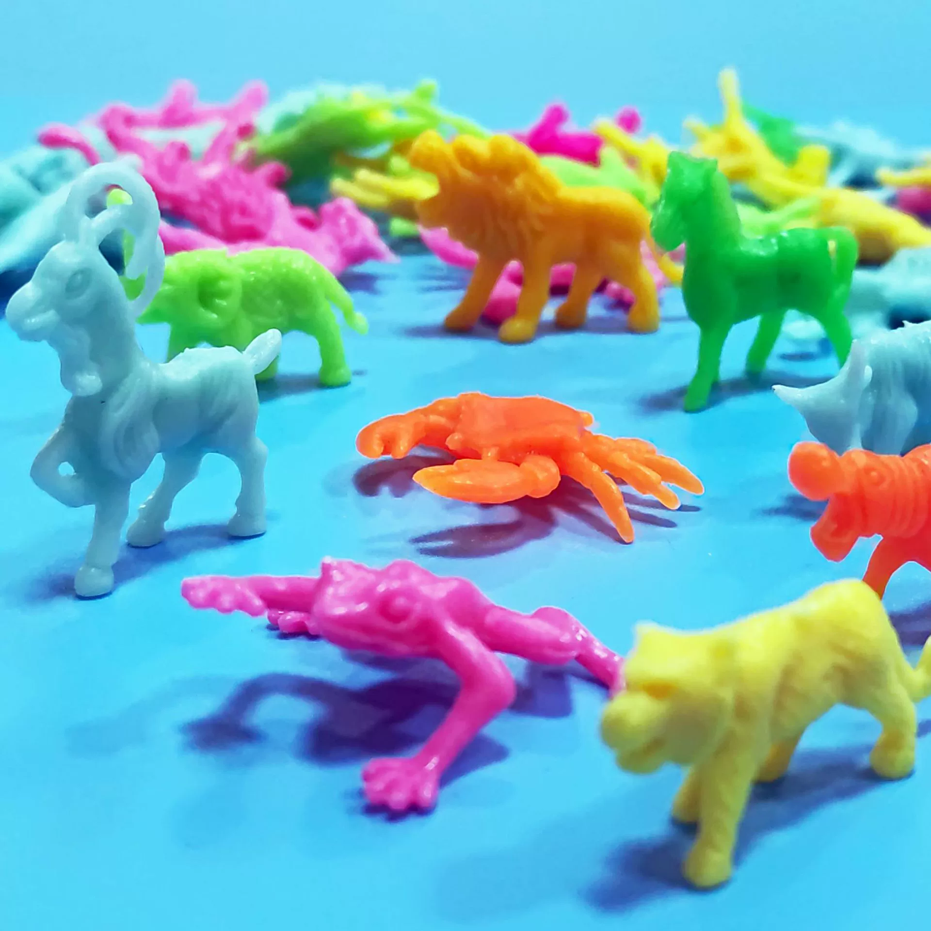 Оптовые модели животных для детей, развивающие игрушки, научные и образовательные игрушки, украшения для зоопарка, подарки от производителя