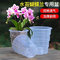 透明可視蘭水苔胡蝶蘭専用植木鉢プラスチック通気熱植石gok鉢植え青山控根盆