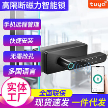 �߸�������i�F�����������ӿײ����T�i�T�f�h�̿��ƴ������T�i