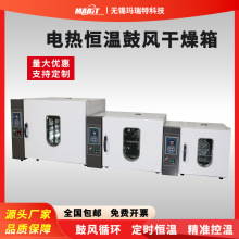 电热恒温鼓风干燥箱实验室小型迷你烘箱工业高温烤箱烘干箱可定制