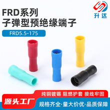 FRD5.5-175��ĸ����늾��B���� �䉺���ӌ��Ӷ��^�ӏ��^���b ���