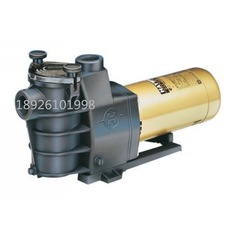 .Henwo/HAYWARD スイミングプール機器フィルター/循環ポンプ サイレントブースター Max-Flo