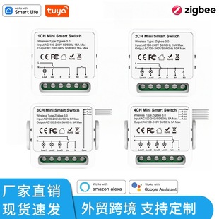 Zigbee Smart Switch Hidden Cassette Module Single Open Dual Control App Control Alaxa16A Modification Part