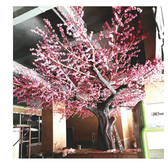 4 metros de altura x 6 metros de ancho Peach Tree