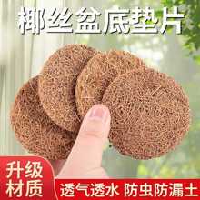 ׿Ҭz|ƬAεײ©|ֲ@ˇ׉|W©͸