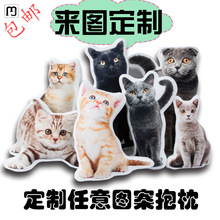 易基diy抱枕3d照片宠物枕头猫咪狗异形来图礼物可印靠枕