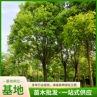 ���ع������������㙴���Ә���U���^�����𻨞���G���L�������l