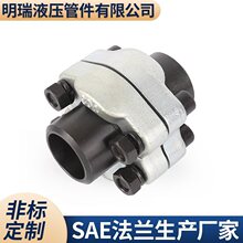 SAE���wʽ���m JB4187 B��CFHI1096���_AFKV̼���\ BSF���m