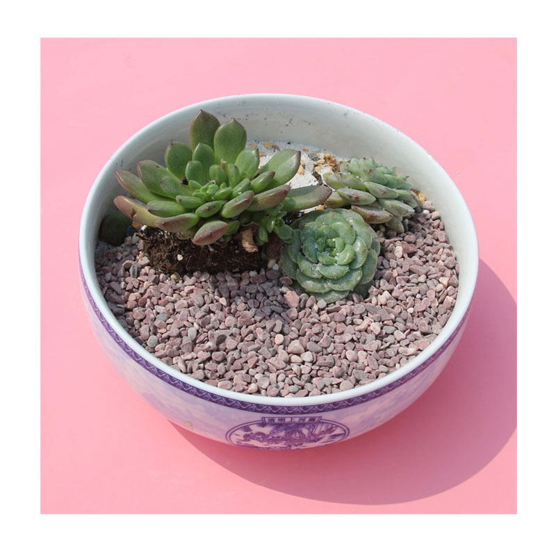 ڼ߲ʶʯСװ | ˮ쾰+԰ղ˫ʯ