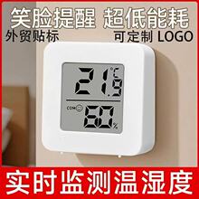 跨境高精度温度计室内家用温湿度计书房宠物房壁挂温度计厂家直销