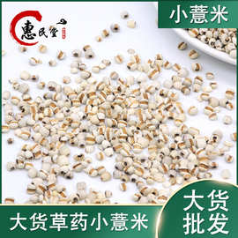 小薏米薏仁米碎薏米仁薏仁米薏米薏苡仁一公斤初级农产品  小薏米