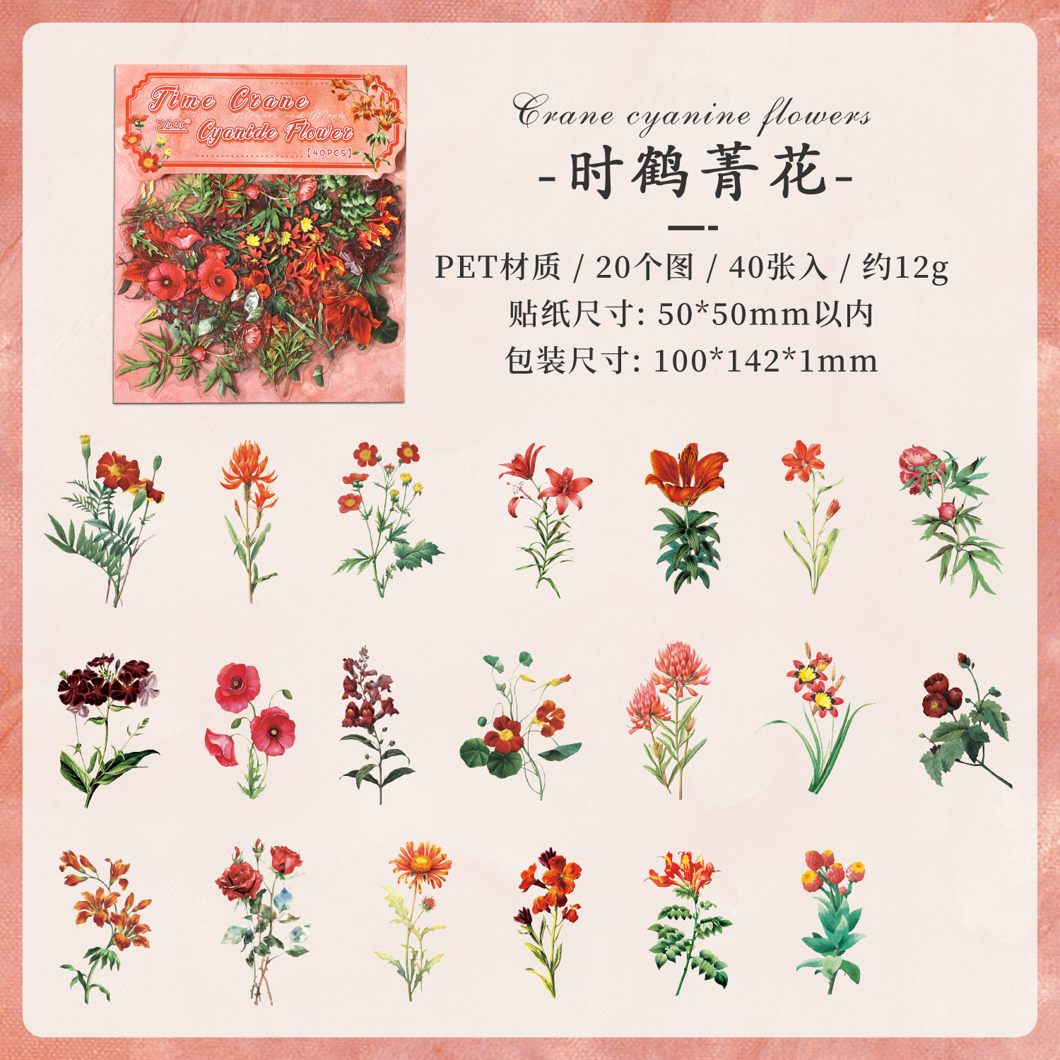 Paquete de pegatinas de cuenta manual de la serie de sueños florales Pegatinas de flores de plantas retro Pet Bolsa de pegatinas de plantas de flores impermeables