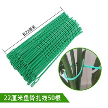 22CM����;�~�ǾGɫ�@�������������@ˇ�~�����������N�������b��