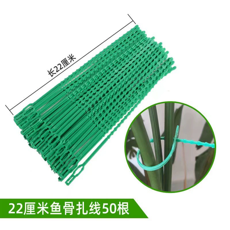 22CM Многоцелевой Рыбная кость Зеленая садовая стяжка ремни Садовая Рыбная кость [Различные количества Упаковка]